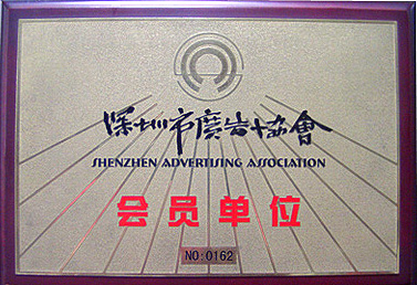 Members of the Shenzhen Association